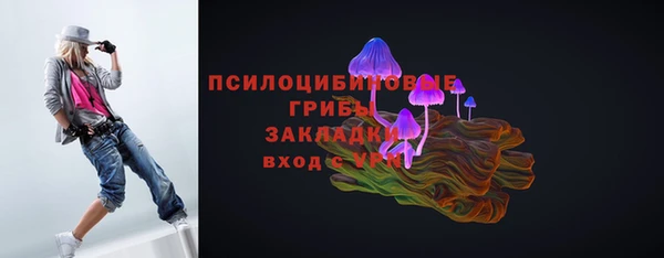 дмт Инсар