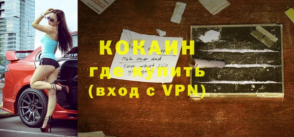 дмт Инсар