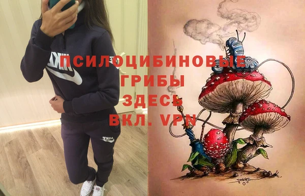 дмт Инсар