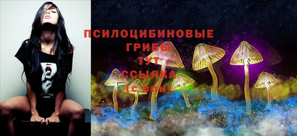 а пвп мука Иннополис