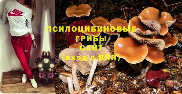 дмт Инсар