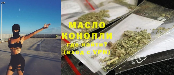 дмт Инсар