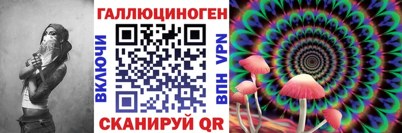 наркота  Касимов  Псилоцибиновые грибы мицелий 